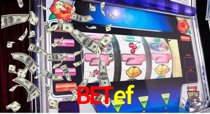 betef,betef.com